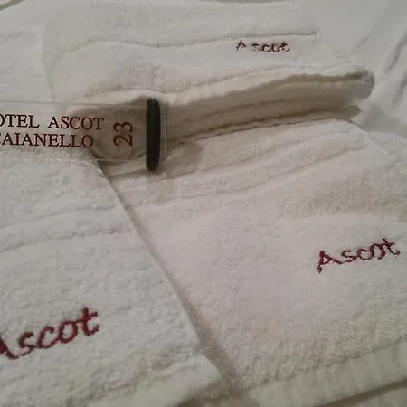 Hotel Ascot